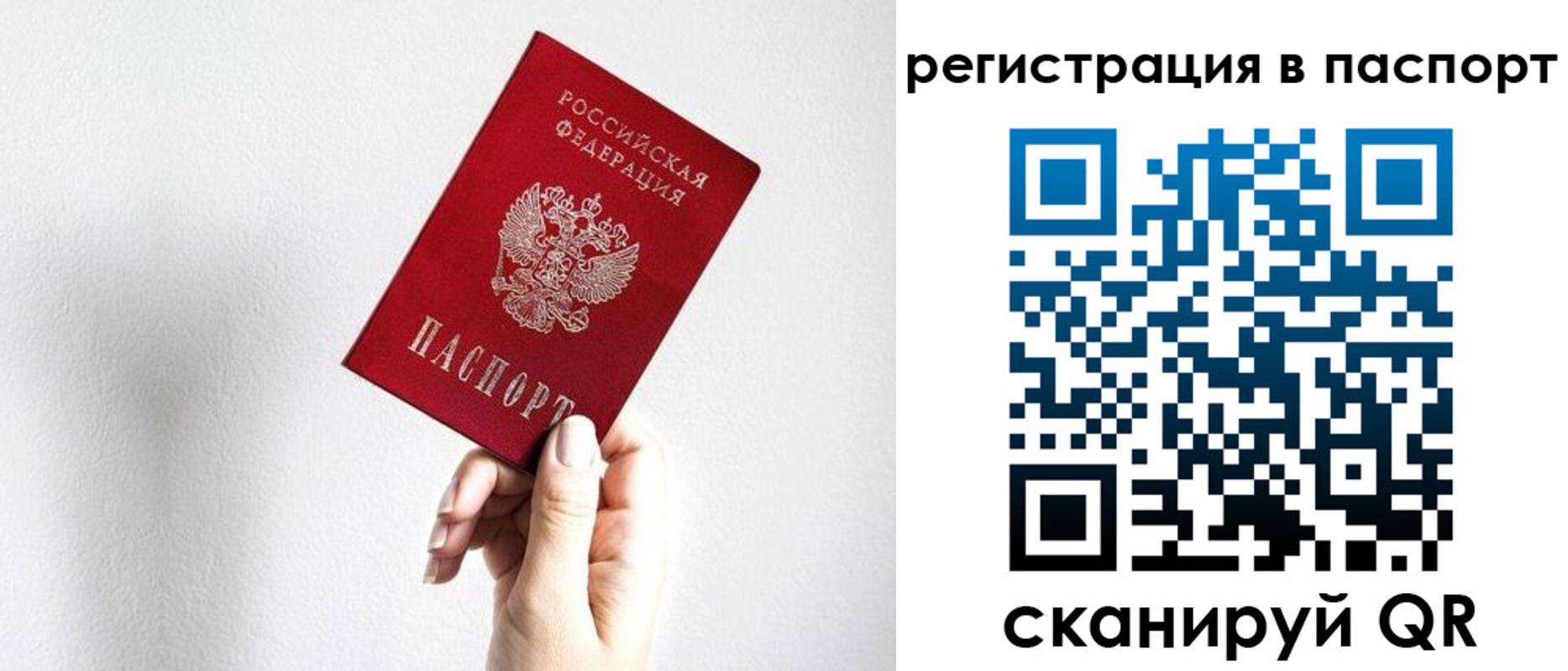 прописка законно в Жердевке